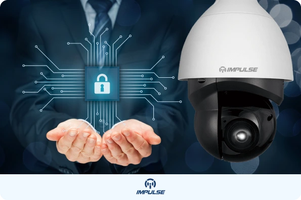 Business Security Cameras